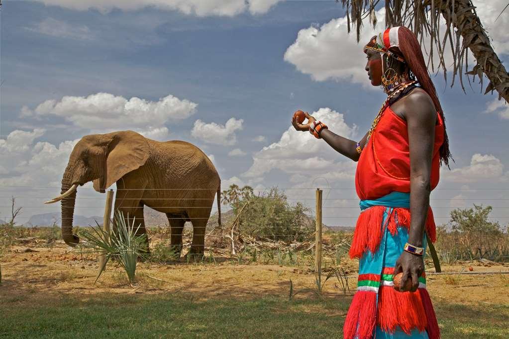 Hotel Ashnil Samburu Camp Facilidades foto